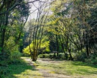 旅館「庄助の宿瀧の湯」に泊まるなら！東山おすすめの観光スポット