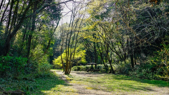 旅館「庄助の宿瀧の湯」に泊まるなら！東山おすすめの観光スポット